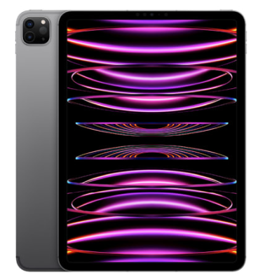 Apple iPad Pro 11-tum (2022) Wi-Fi + Cellular 2 TB - Rymdgrå#1
