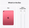 Apple iPad A16 11 tum Wi-Fi + Cellular 128 GB - Rosa#2